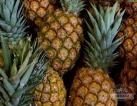 Как выбрать спелый сочный ананас