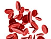 Что повышает гемоглобин в крови?