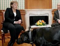ベルリンの戦い：誰がメルケル首相から首相の椅子を奪えるのか 首相選挙はいつ？