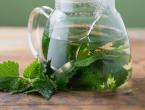 Ceaiul de urzică proprietăți medicinale contraindicații aplicare
