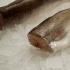 Hake 또는 hake(Merluccius)는 뼈가 거의 없는 부드러운 흰 살코기를 함유한 식용 바다 물고기입니다.