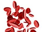 혈액 내 헤모글로빈을 증가시키는 것은 무엇입니까?